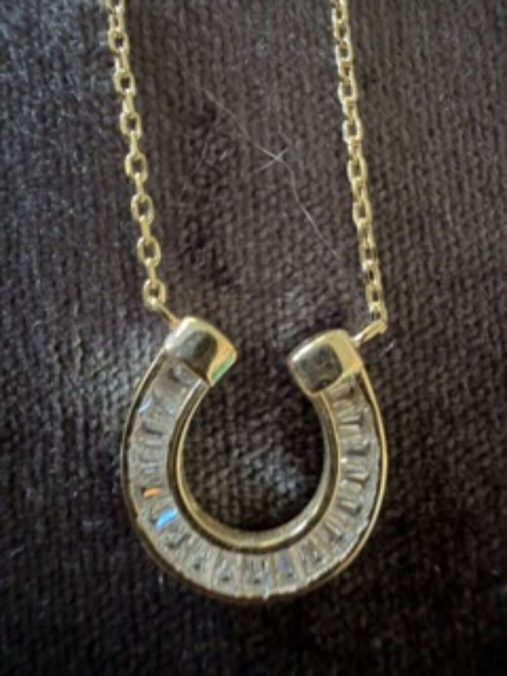 Horseshoe pendent necklace